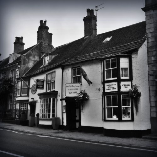 The Old Tea House Report
