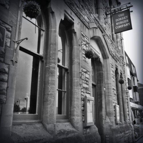 The Infirmary Report