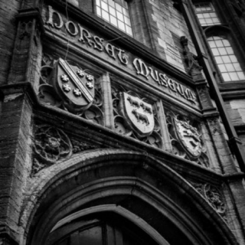 Dorset County Museum Report