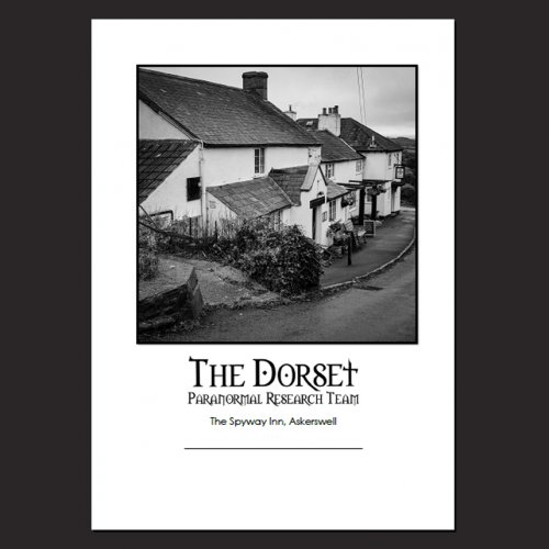 The Spyway Inn Report