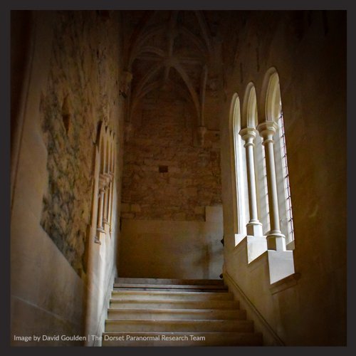 Research at Woodchester Mansion Gloucestershire